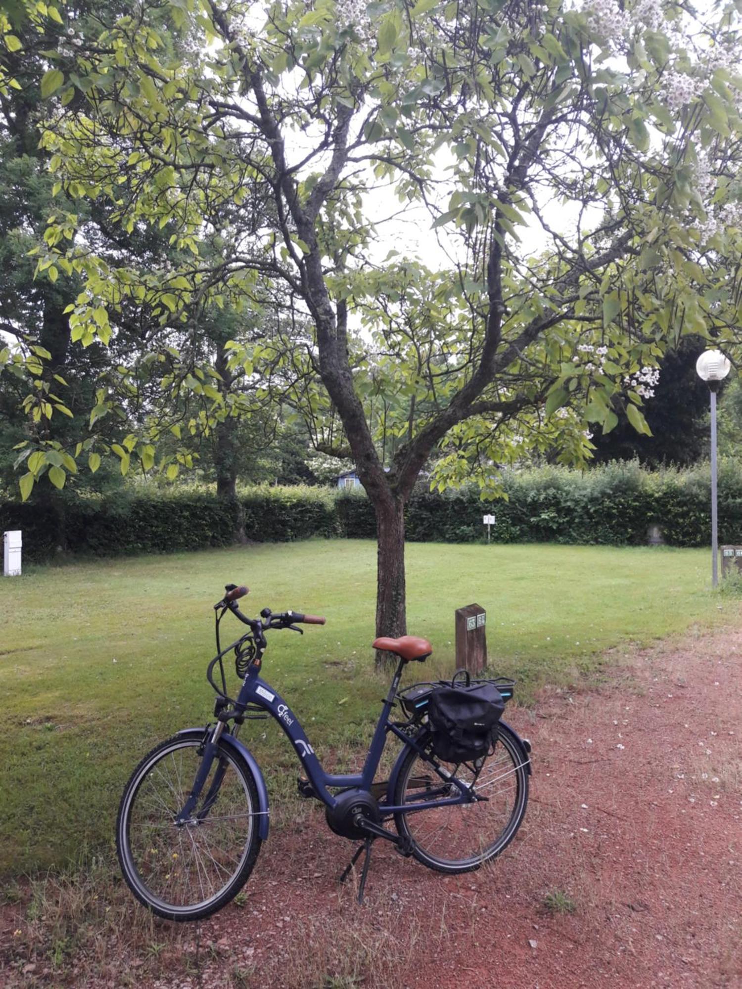 Camping Les Feuilles Chauffailles 外观 照片